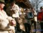 Сегодня украинцы щедруют и отмечают Старый Новый год: традиции и история праздника