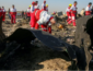 Падение самолета МАУ в Иране: эксперты опознали тело первого погибшего украинца