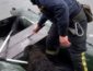 Под Киевом бездомный пес ушел под лед: трогательное ВИДЕО спасения собаки