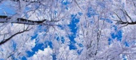 Минус 10 и снег: в Украину пришла зима. ФОТО