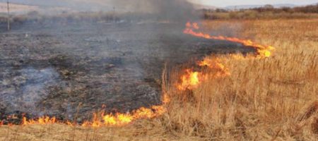 В Украине в 18 раз увеличили штрафы за поджог травы