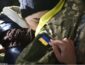 В РФ оценили проведенный обмен пленными на Донбассе