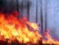 На Житомирщине пожарные продолжают бороться с возгораниями