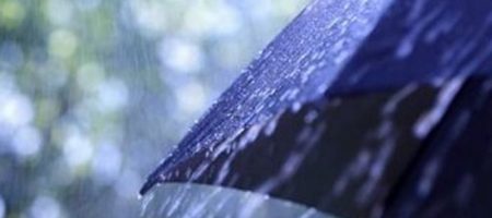 Будет мокро: народный синоптик дал прогноз на целое лето