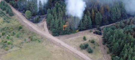 На Луганщине продолжают гореть леса