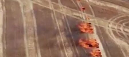 Масштабные пожары на Луганщине: военные нашли возможного поджигателя (ВИДЕО)