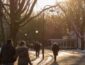 Бабье лето в декабре: синоптики удивили прогнозом на зиму в Украине