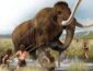 Ученые из США раскрыли загадку вымирания мамонтов