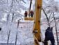 Непогода оставила без электричества полторы сотни городов и сел в Украине