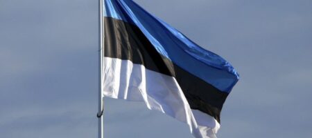 Эстония ответила на предложение войти в состав России через референдум