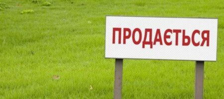 Земля бесплатно: Минюст пояснил, кто из украинцев получит паи без денег