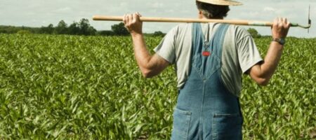 Тормоз рынка земли: фермеры объяснили, почему не выкупают земли
