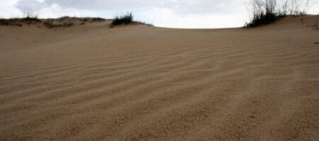 Ученый: юг Украины станет пустыней через 30 лет