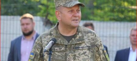 Женщины - исключительно по желанию: главнокомандующий ВСУ Залужный успокоил украинок