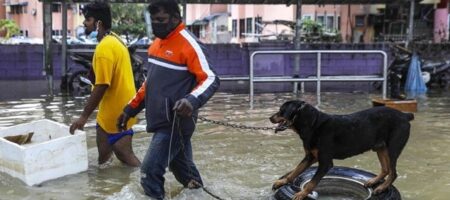 Малайзия страдает от сильнейших наводнений