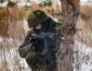 Боевики стреляли по позициям ООС вблизи Причепиловки