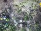 Безпілотник ЗСУ пошкодив російський комплекс для боротьби з дронами