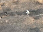 З'явилося відео окопного бою ЗСУ з "вагнерівцями"
