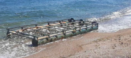 Море перетворюється на смітник та кладовище тварин – ДПСУ про наслідки підриву ГЕС