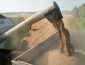 Заборона імпорту зерна: Україна звернеться до СОТ