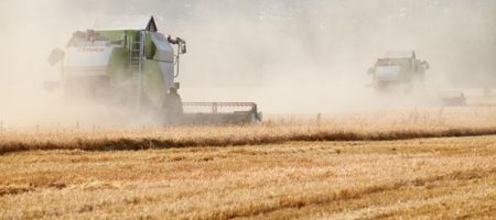 Україна і Польща провели переговори щодо зерна