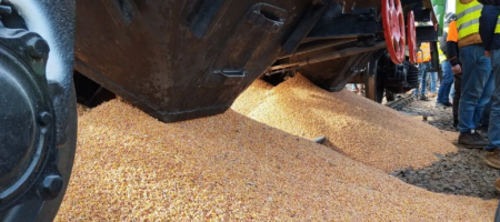 Поляки на кордоні знищили 4 тонни українського зерна: розкрито подробиці нападу на вагони